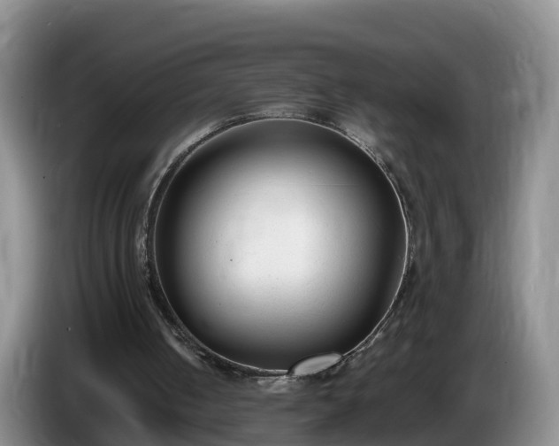 X0000086240050200704051227