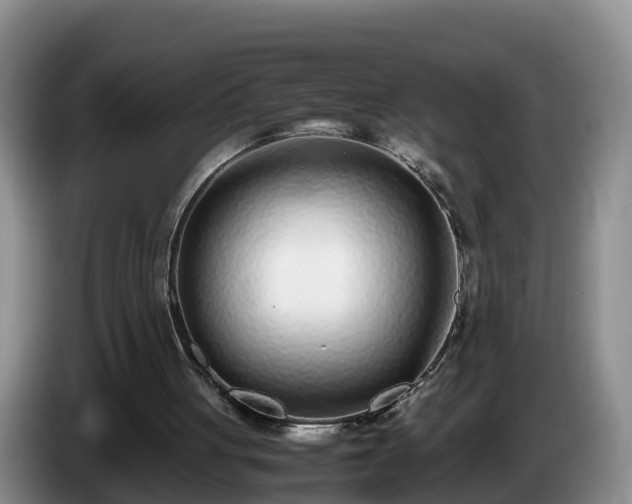 X0000086240051200704051227