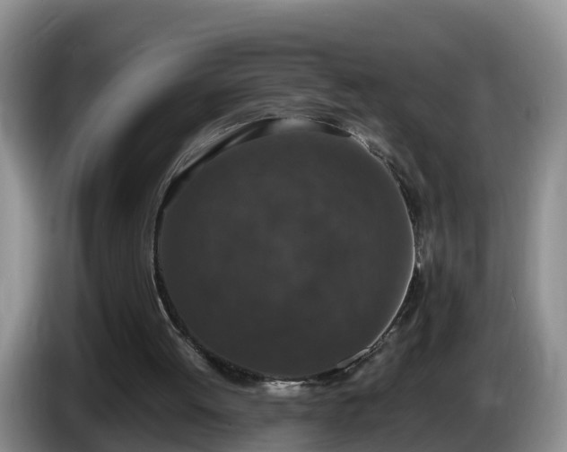 X0000086240052200704051228