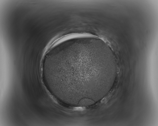 X0000086240053200704051228