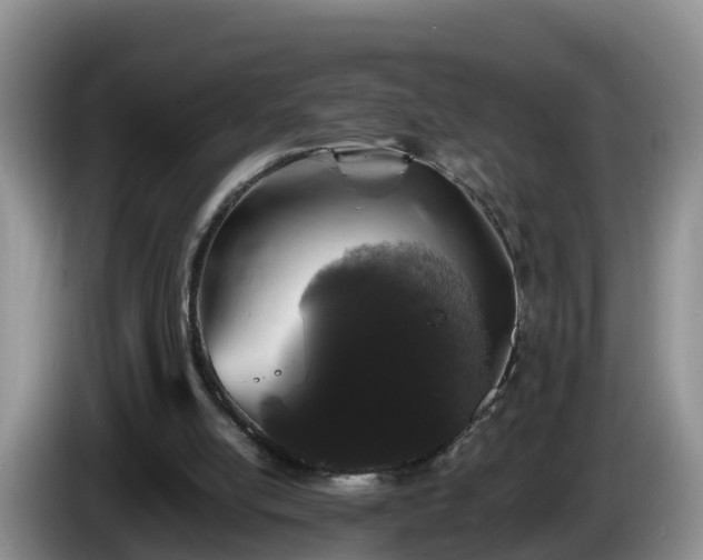 X0000086240054200704051228