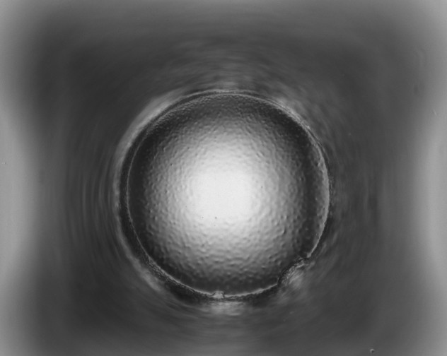 X0000086240055200704051228