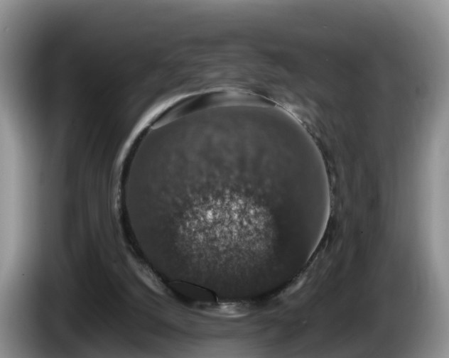 X0000086240056200704051228