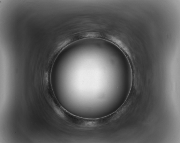 X0000086240057200704051228