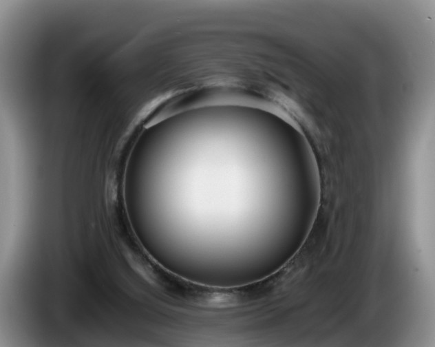 X0000086240060200704051228