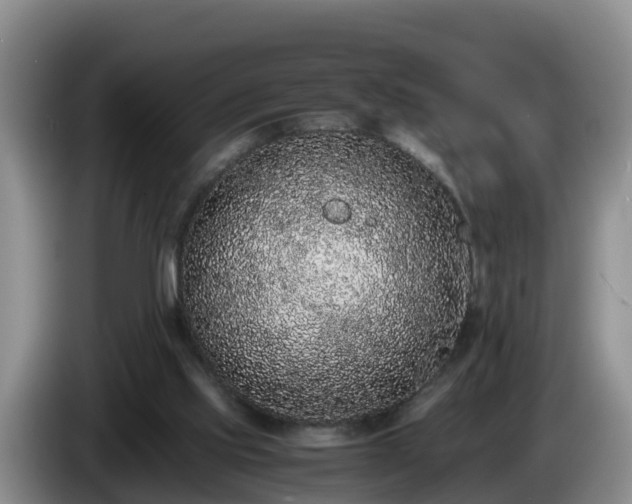 X0000086240061200704051228