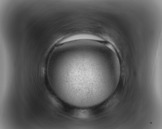 X0000086240063200704051228