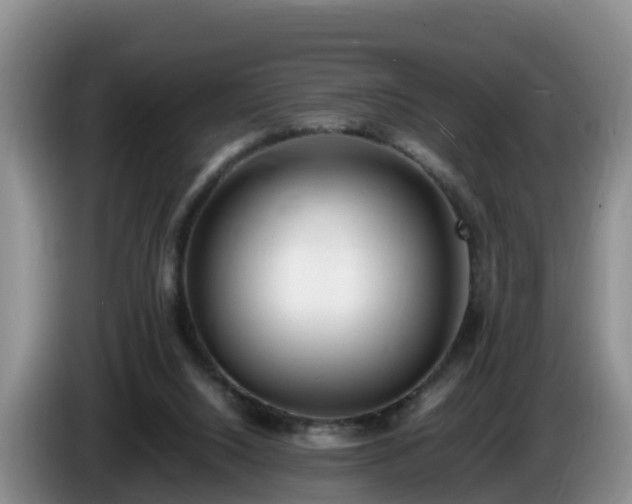 X0000086240064200704051228