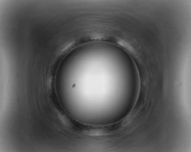 X0000086240066200704051228