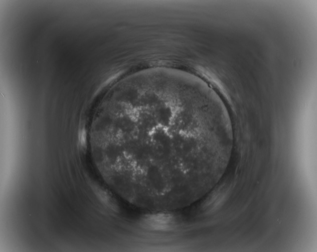 X0000086240067200704051228