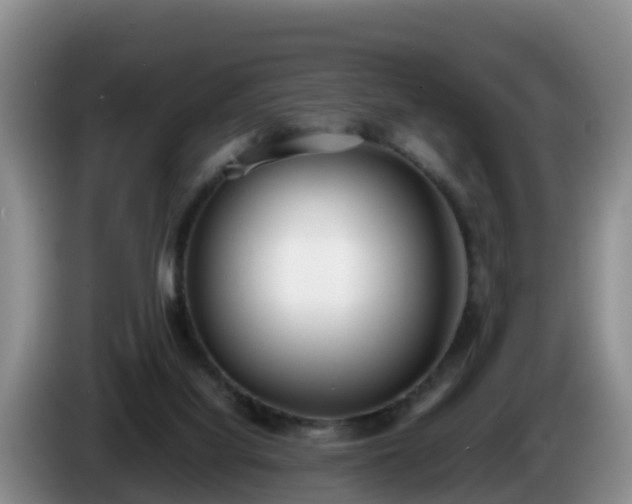 X0000086240068200704051228