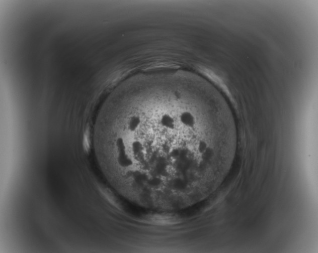 X0000086240069200704051228