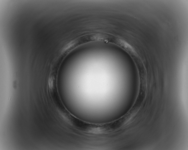 X0000086240071200704051228