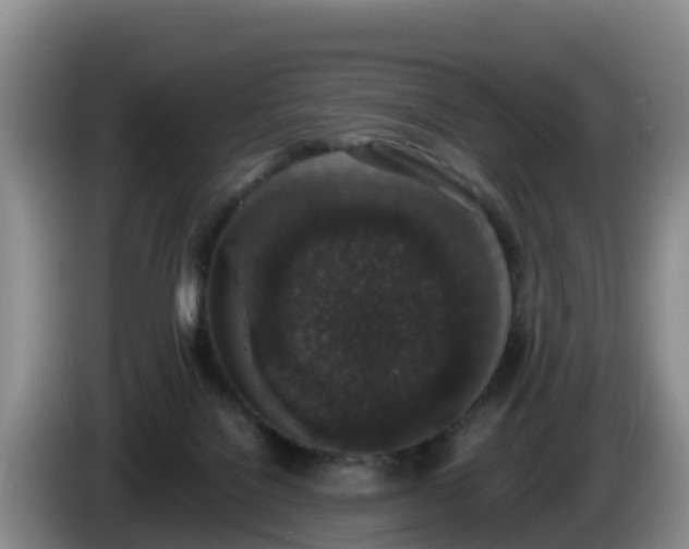 X0000086240076200704051228