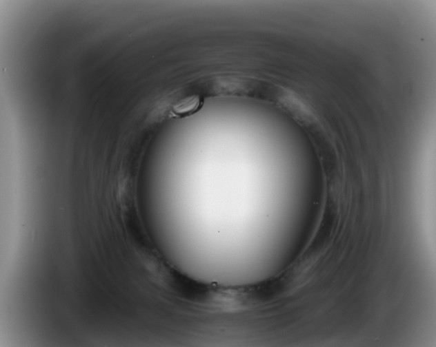 X0000086240079200704051228