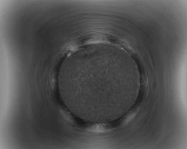 X0000086240080200704051228