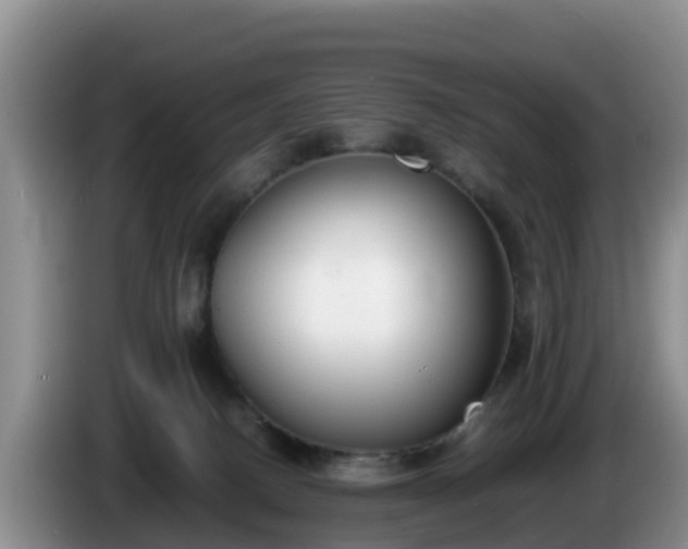 X0000086240082200704051228