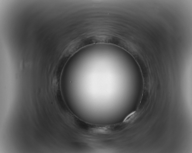 X0000086240086200704051228