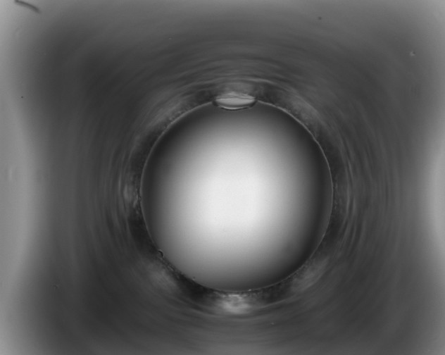 X0000086240091200704051228