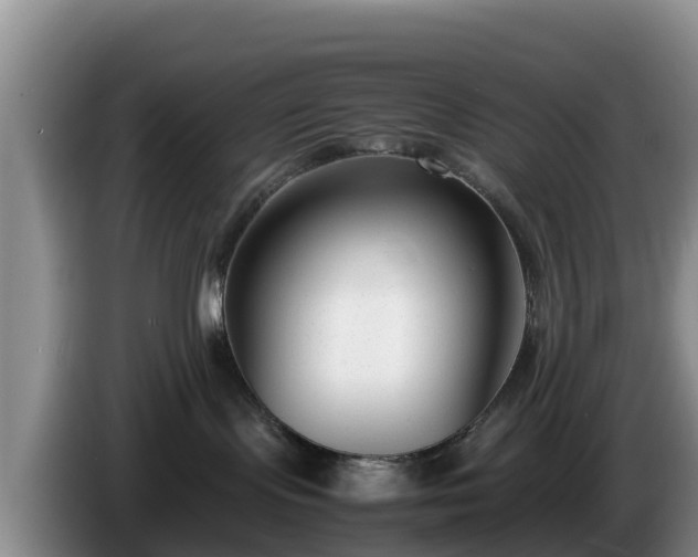 X0000086240095200704051228