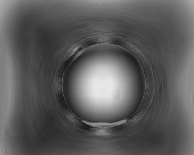 X0000086240096200704051228