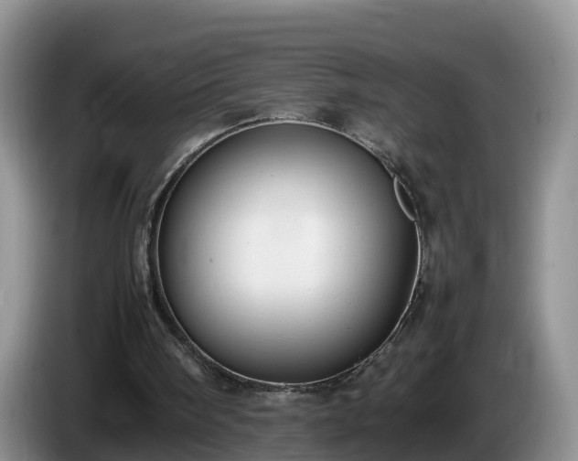 X0000086240098200704051227