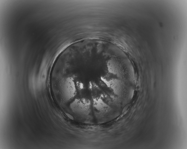X0000086240099200704051227
