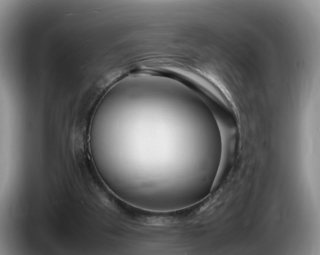 X0000086240105200704051227