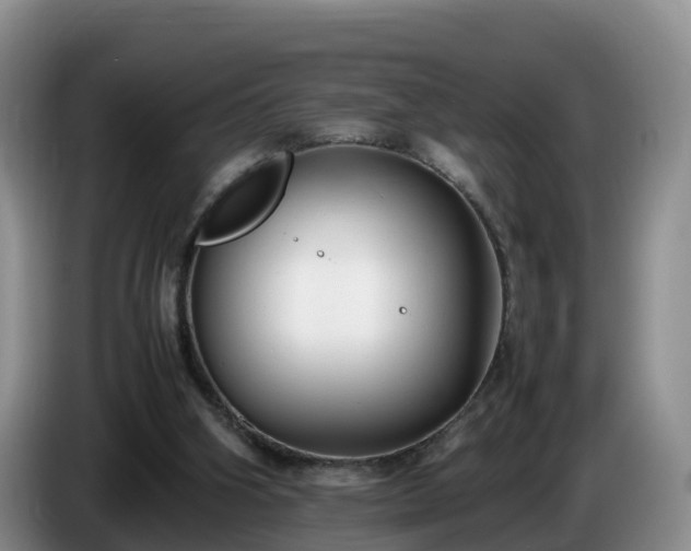 X0000086240106200704051227