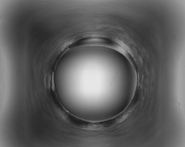X0000086240109200704051227