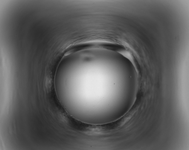 X0000086240113200704051227