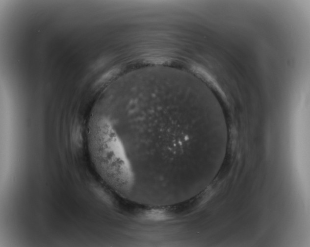 X0000086240114200704051227
