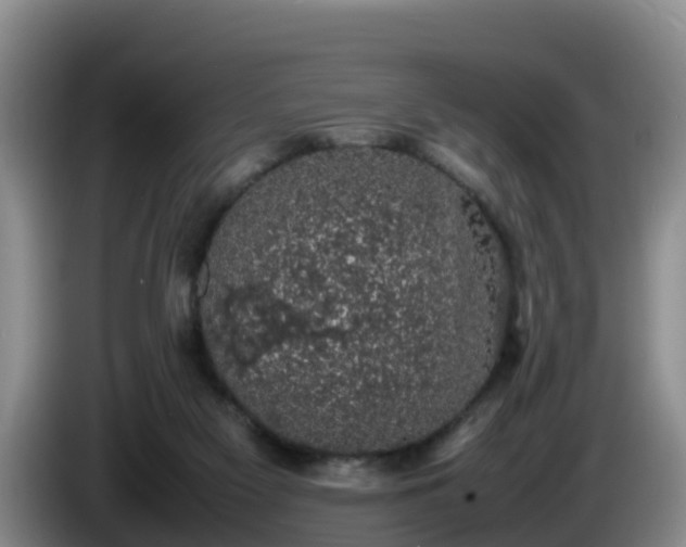 X0000086240117200704051227