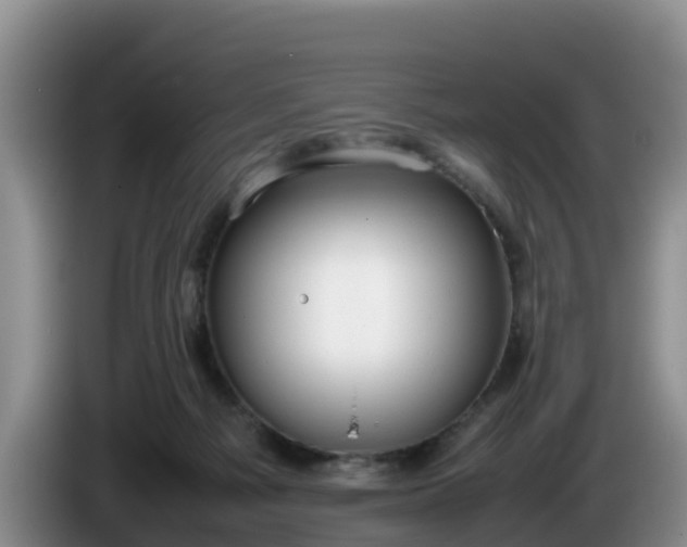 X0000086240121200704051227