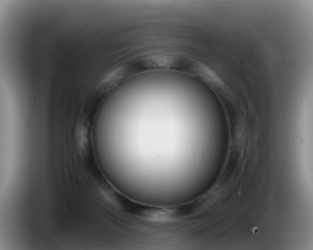 X0000086240122200704051227