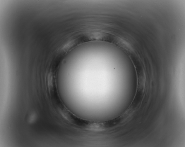 X0000086240126200704051227