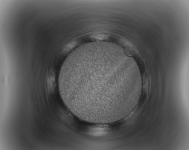 X0000086240128200704051227
