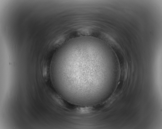 X0000086240134200704051227