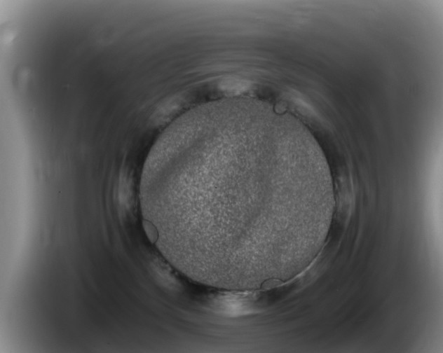 X0000086240136200704051227