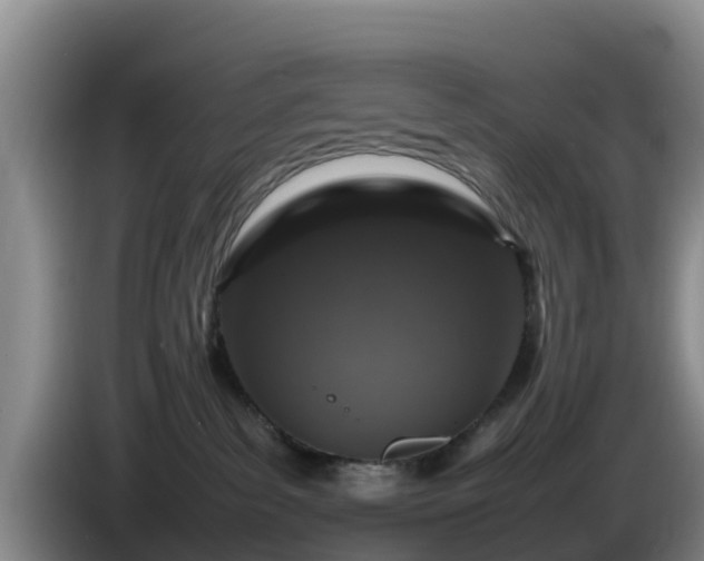 X0000086240139200704051227