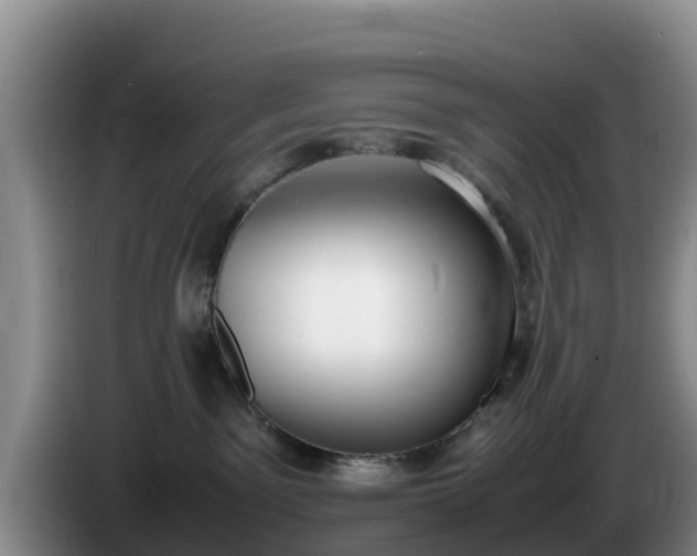 X0000086240141200704051227