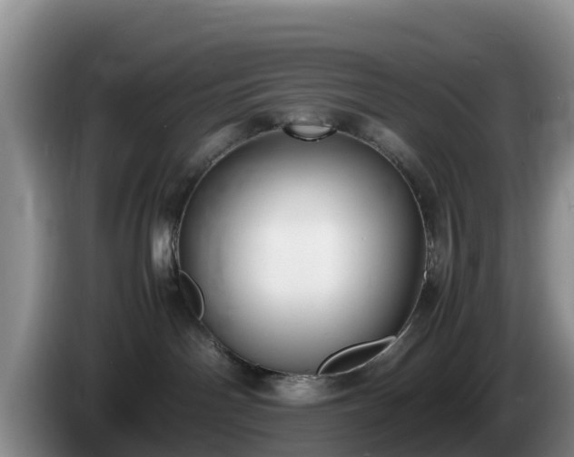 X0000086240142200704051227