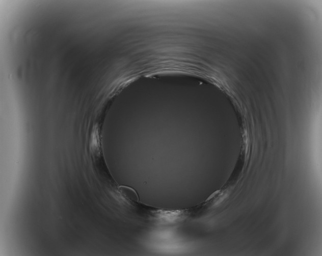 X0000086240143200704051227