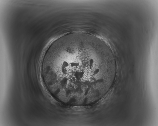 X0000086240145200704051226