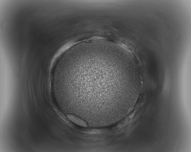 X0000086240149200704051226