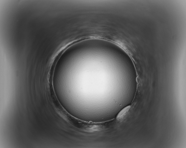 X0000086240151200704051226