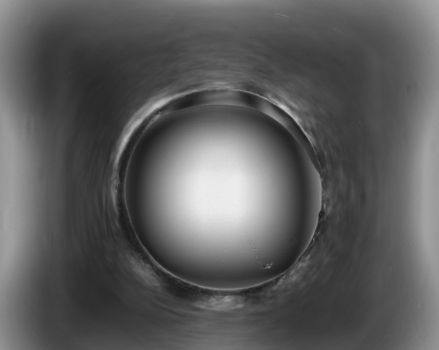 X0000086240152200704051226