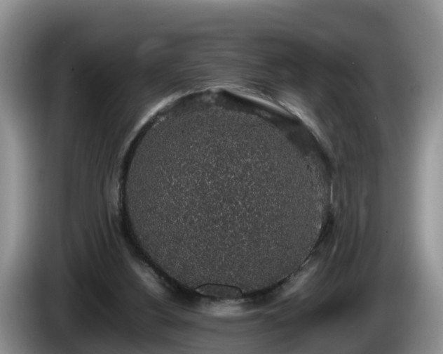 X0000086240156200704051226