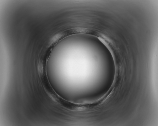 X0000086240158200704051226