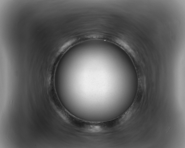 X0000086240159200704051226